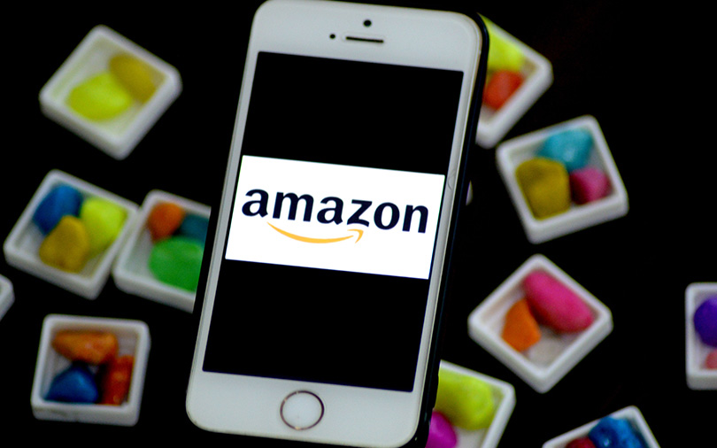 Amazon Wholesale Aided with 100 crore Investment