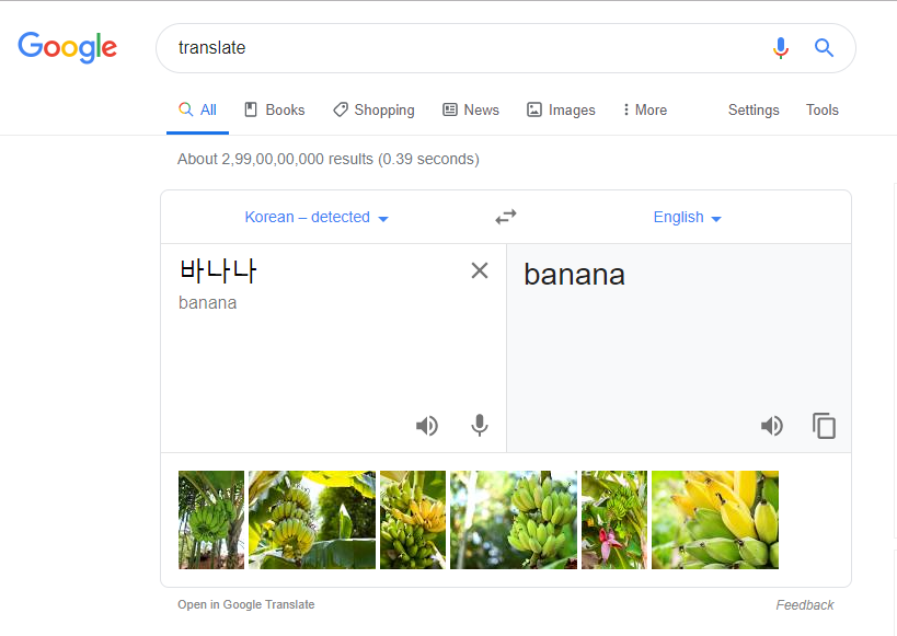 Google Translate Is Showing Images