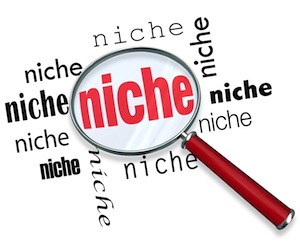 Describe Your Niche 