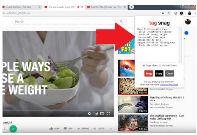 Use Tag Snag A New Tool To Boost Your YouTube SEO