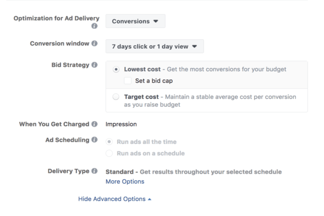 Ad Bid Facebook Advertising Cost